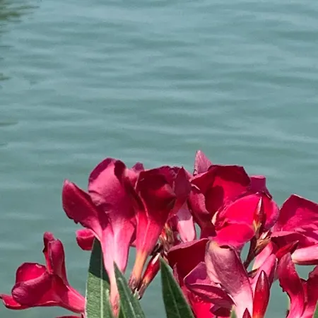 Casa vacanze Retro Balatonvilagos Siófok